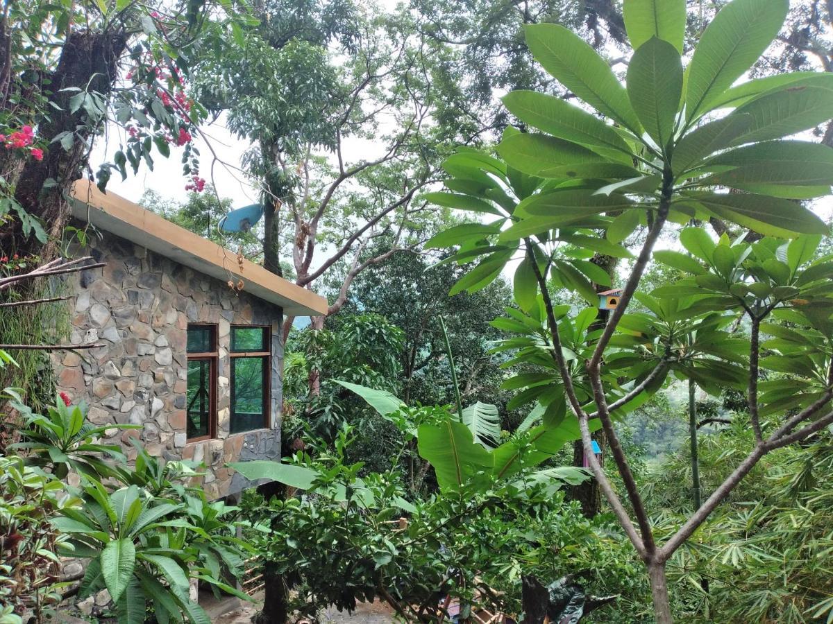 Casa Musgo Xilitla Exterior foto